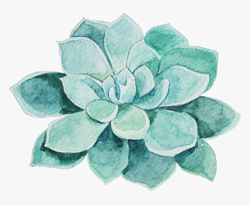 Watercolor Succulent Png - Mothers Day Massage Gift Cert, Transparent Png, Free Download