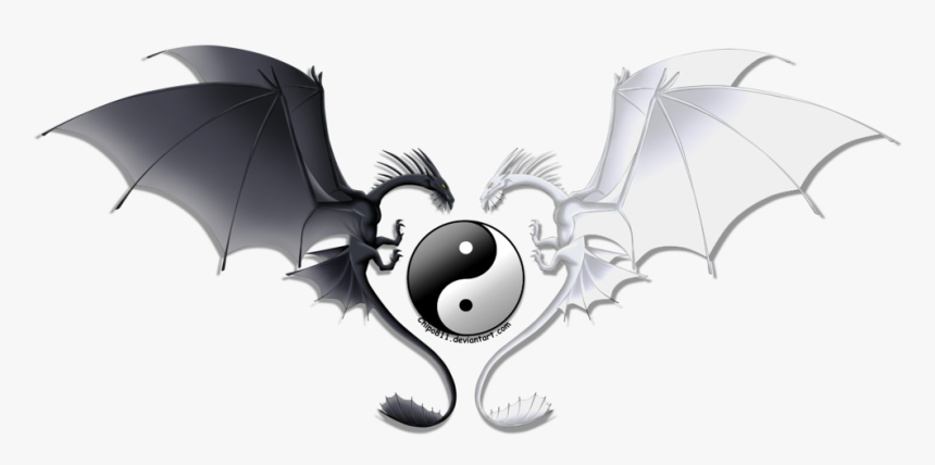 Black And White Yin Yang Dragons, HD Png Download, Free Download