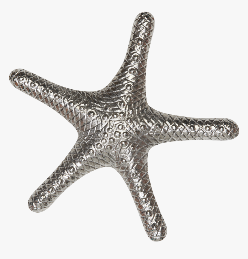 130037 Silver Starfish - Starfish, HD Png Download, Free Download