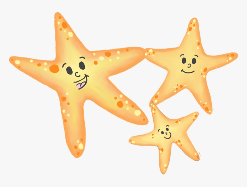 Starfish, HD Png Download, Free Download