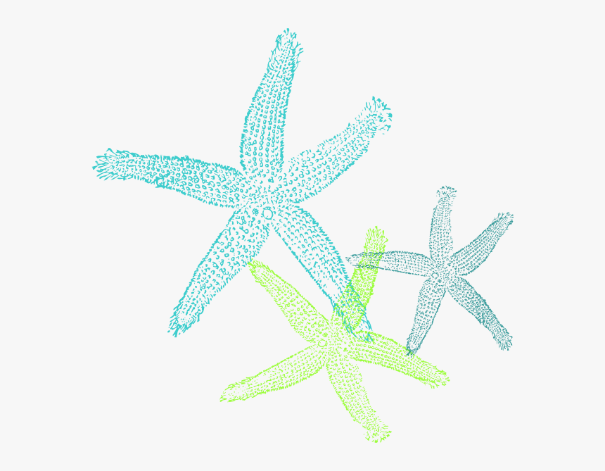 Turquoise Green Starfish Svg Clip Arts - Coral Starfish Clipart, HD Png Download, Free Download