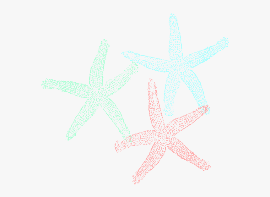 Starfish Svg Clip Arts - Fish Clip Art, HD Png Download, Free Download