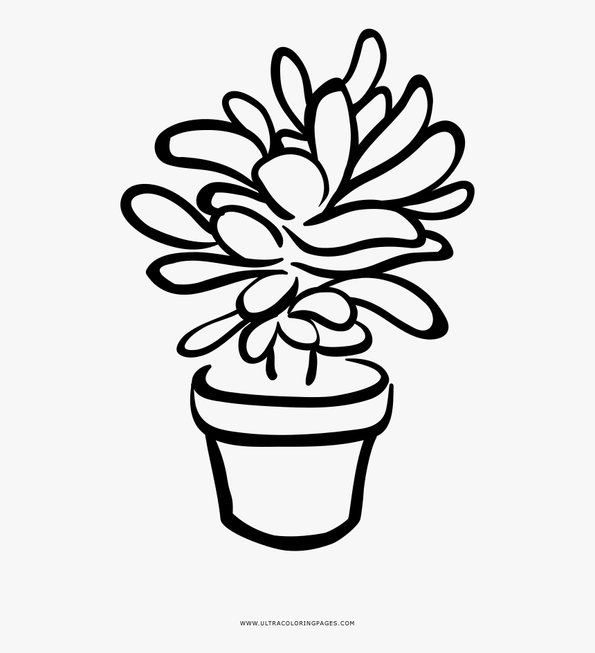 Succulent Coloring Page - Succulent Coloring Page Free, HD Png Download, Free Download