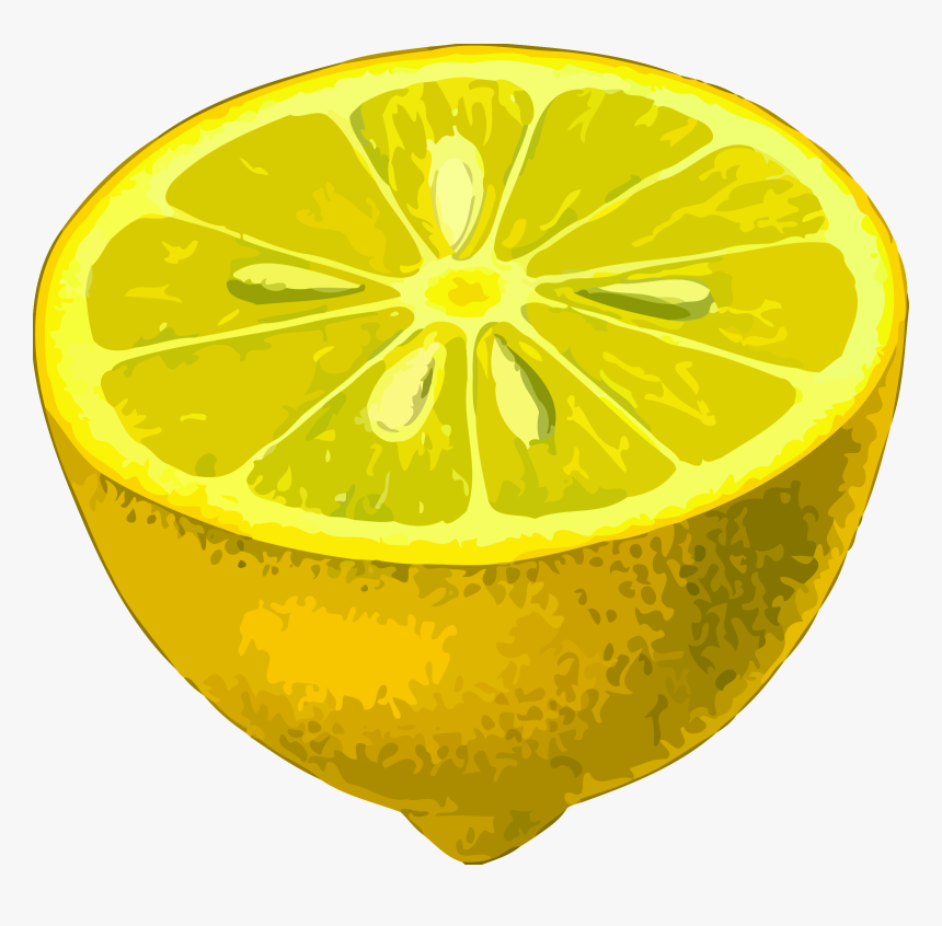 Half Lemon Low Resolution - Botanical Scroll Wall Hanging, HD Png Download, Free Download