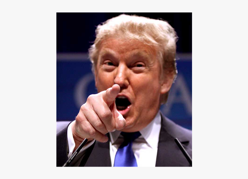 Donald Trump Pointing At You, HD Png Download, Free Download