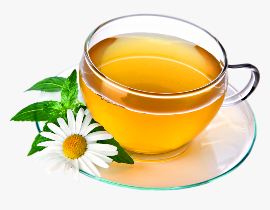 Green Tea Cup Png, Transparent Png, Free Download