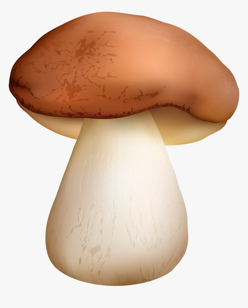 Boletus Mushroom Png Clipart - Mushroom Png, Transparent Png, Free Download