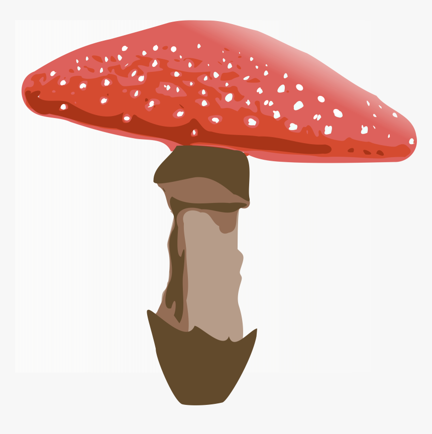 Amanita Muscaria Png File - Transparent Background Mushroom Clipart, Png Download, Free Download