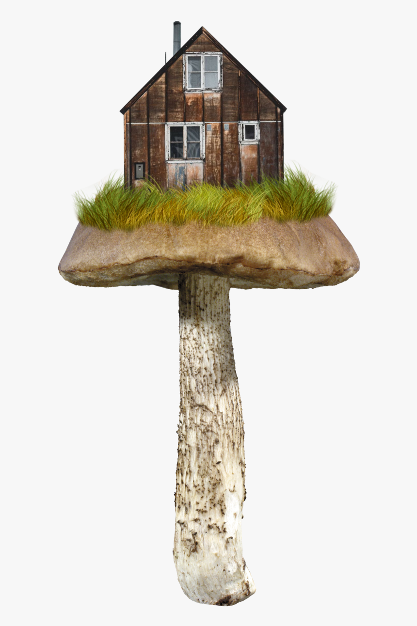 Image - Mushroom Transparent Png, Png Download, Free Download