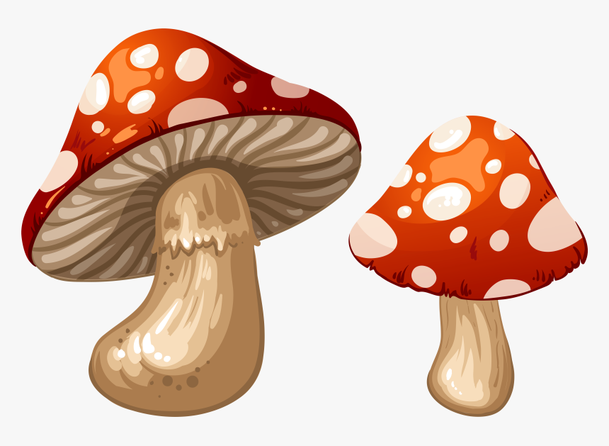 Mushrooms Png Clip Art - Mushroom Clipart, Transparent Png, Free Download