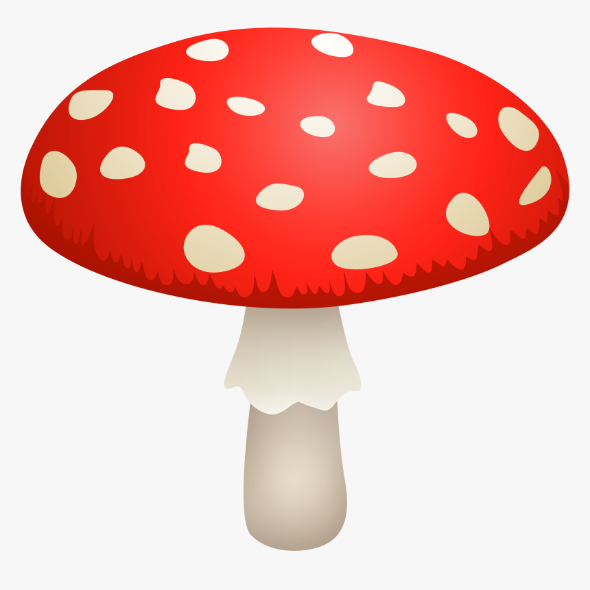 Mushroom Amanita Muscaria Png Clipart - Amanita Mushroom Png, Transparent Png, Free Download