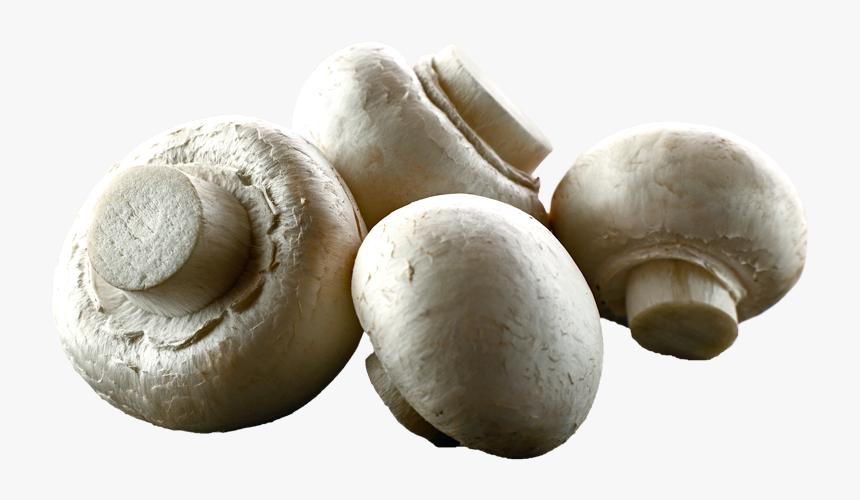 White Button Mushrooms - Button Mushrooms Transparent Background, HD Png Download, Free Download