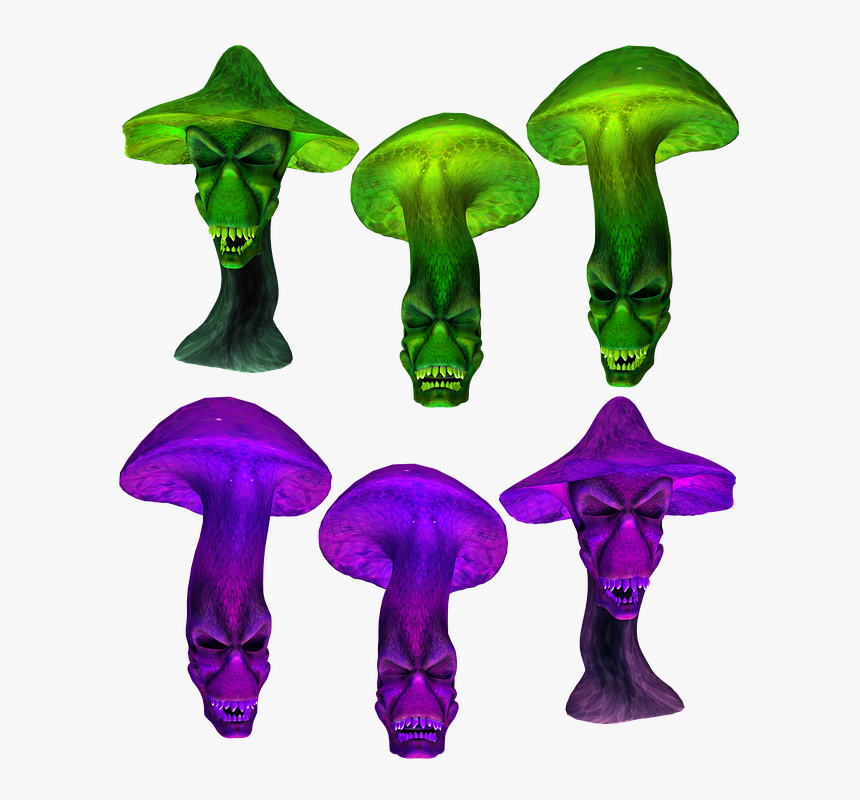Transparent Mushrooms Png - Agaricaceae, Png Download, Free Download
