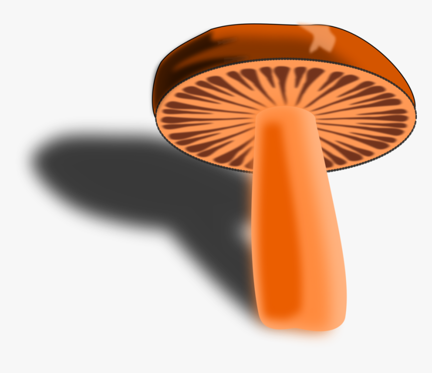 Orange,computer Icons,mushroom, HD Png Download, Free Download