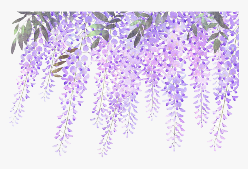 #ftestickers #flowers #border #lavender #wisteria - Border Lavender Flower Png, Transparent Png, Free Download