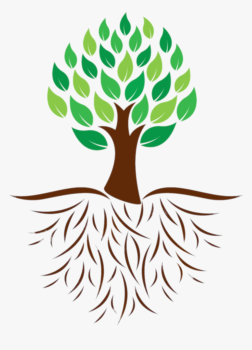 Tree And Roots Colour Illustration - Tree With Roots And Leaves, HD Png Download, Free Download