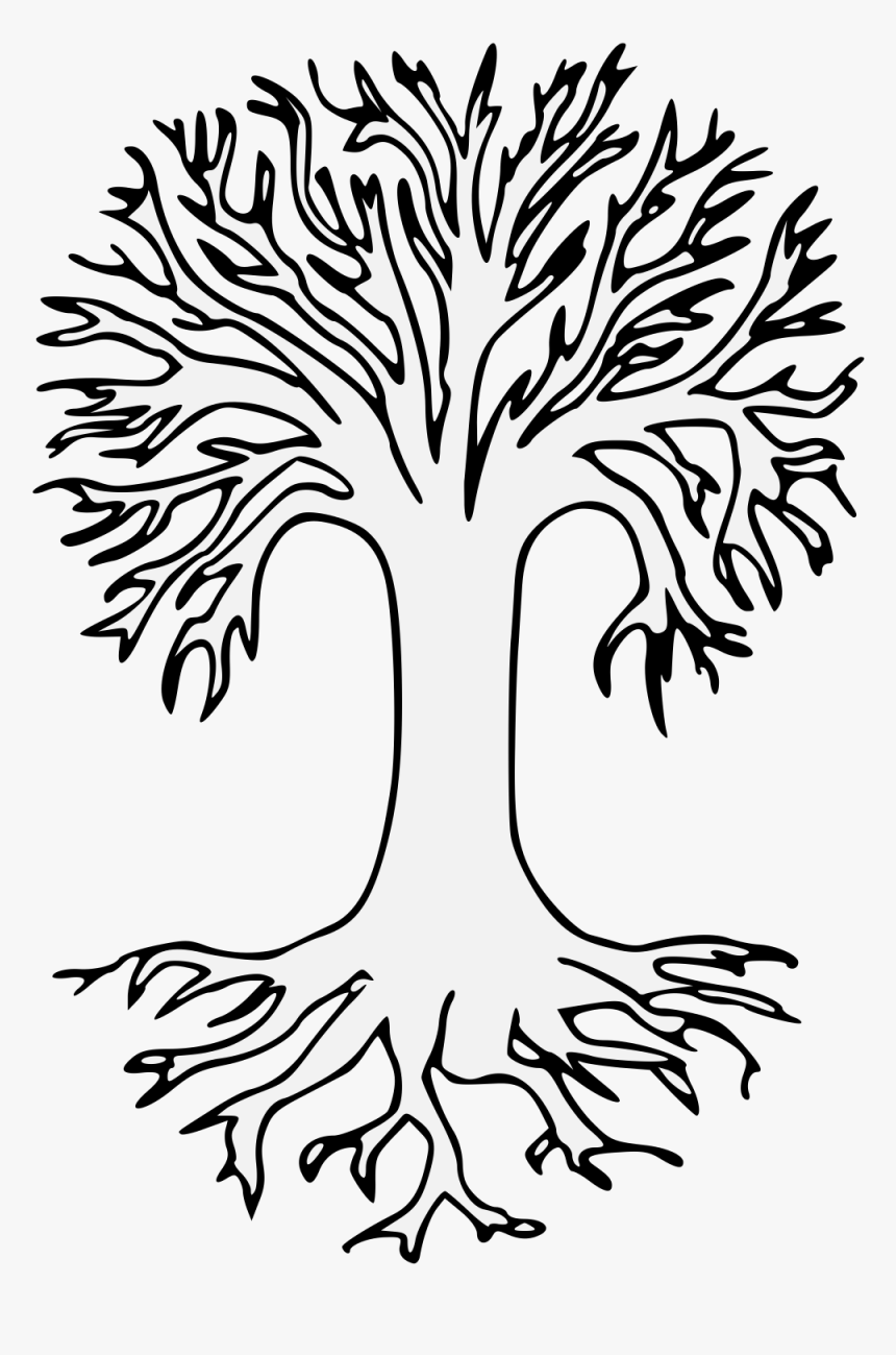 Coloring Bare Tree Drawing Download Hd Details Png - Tree Clipart Black And White With Root, Transparent Png, Free Download