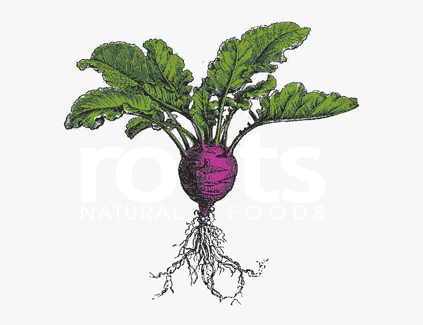 Roots Natural Foods Logo, HD Png Download, Free Download