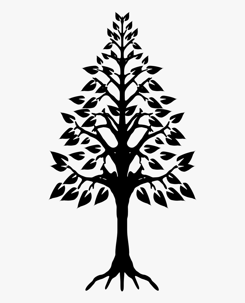 Tree Triangular Shape With Roots - Pine Tree Icon Roots, HD Png Download, Free Download