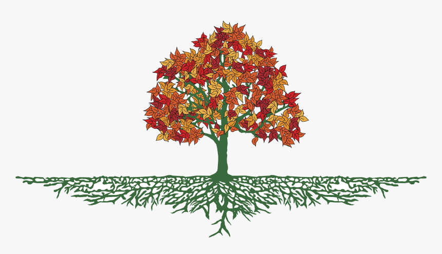 Tree With Roots Png, Transparent Png, Free Download