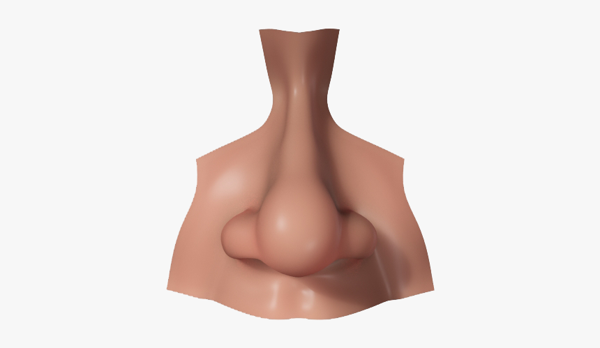 Download Nose Png Picture - Nose 3d Model Free, Transparent Png, Free Download