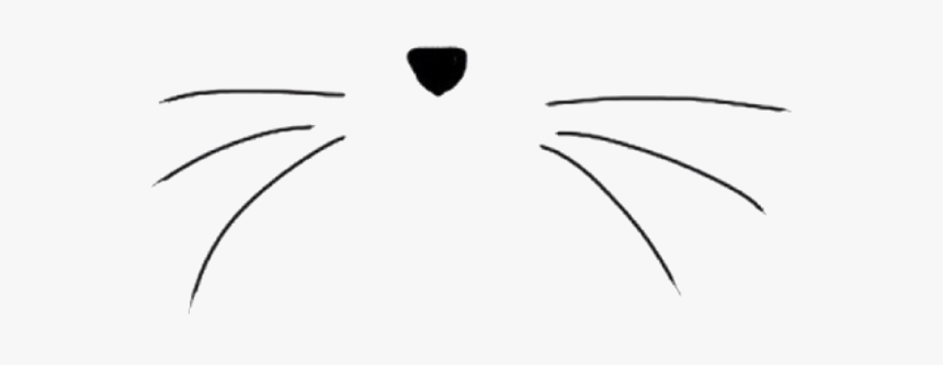 Cat Nose Png - Transparent Background Cat Whiskers Clipart, Png Download, Free Download