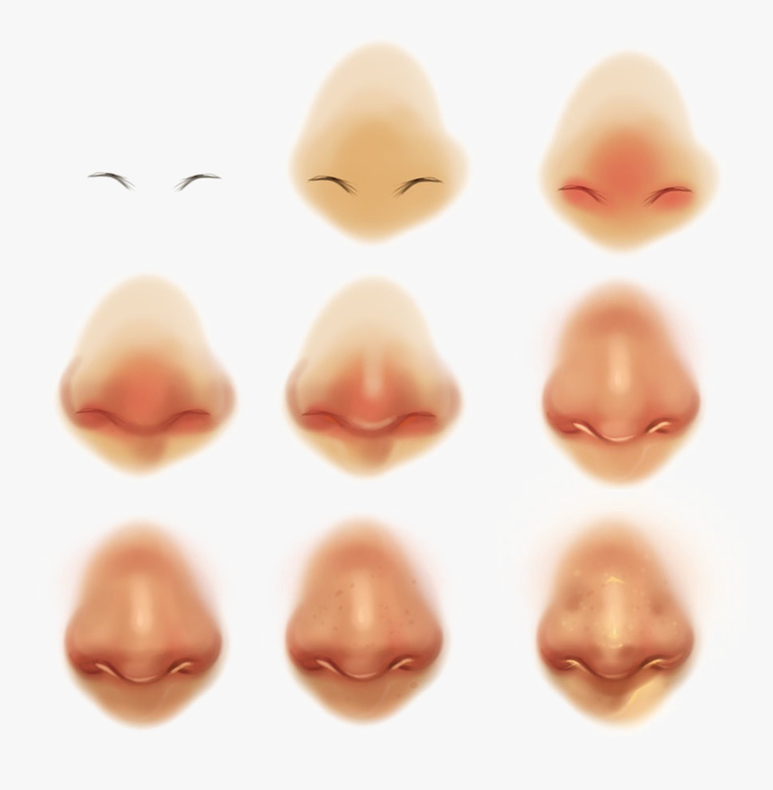 Nose Transparent Images - Semi Realistic Nose, HD Png Download - kindpng.