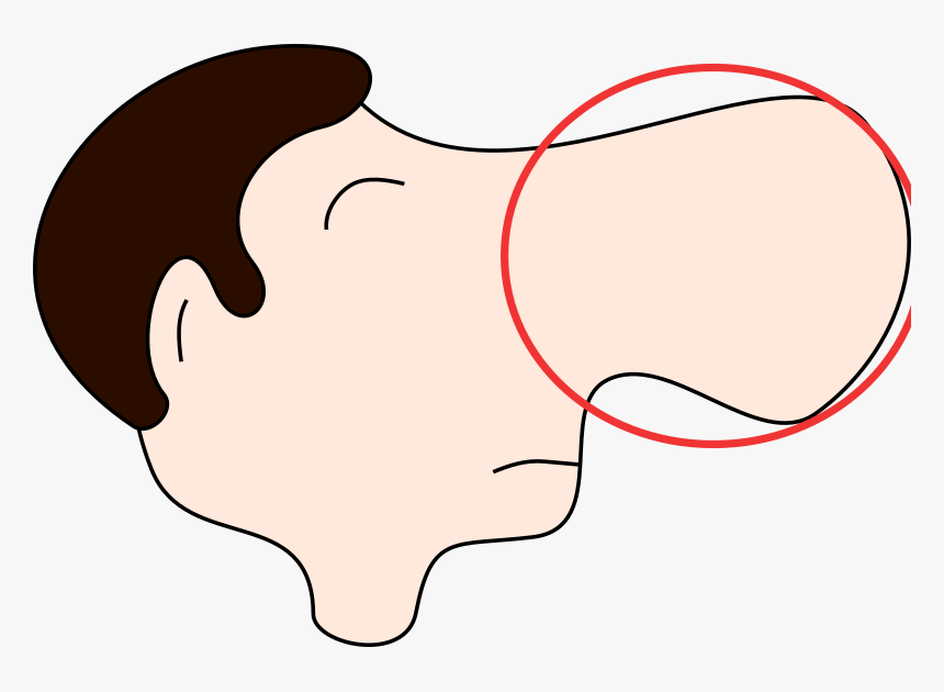 Cartoon Nose Profile Clip Art Clipart - Nose Clip Art, HD Png Download, Free Download