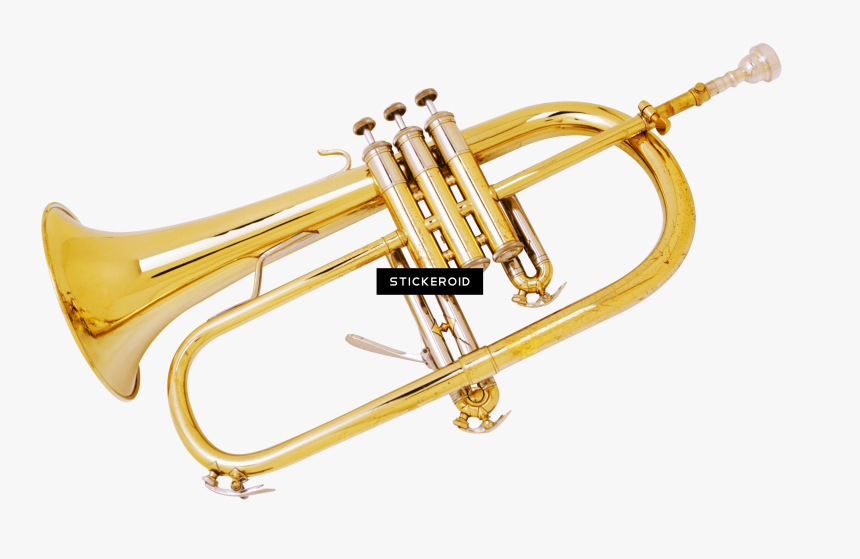 Trumpet - Trumpet Gif Transparent, HD Png Download, Free Download