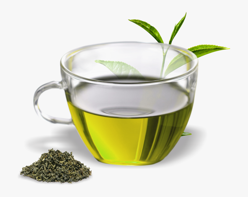 Green Tea Assam Tea Oolong Herbal Tea - Green Tea Cup Png, Transparent Png, Free Download