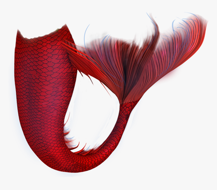 Go To Image - Mermaid Tails Red And Black, HD Png Download, Free Download