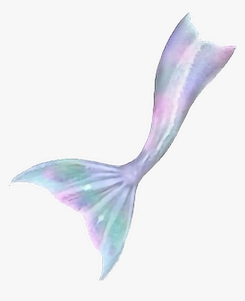 Transparent Mermaid Tail Png - Mermaid Tail Transparent, Png Download, Free Download