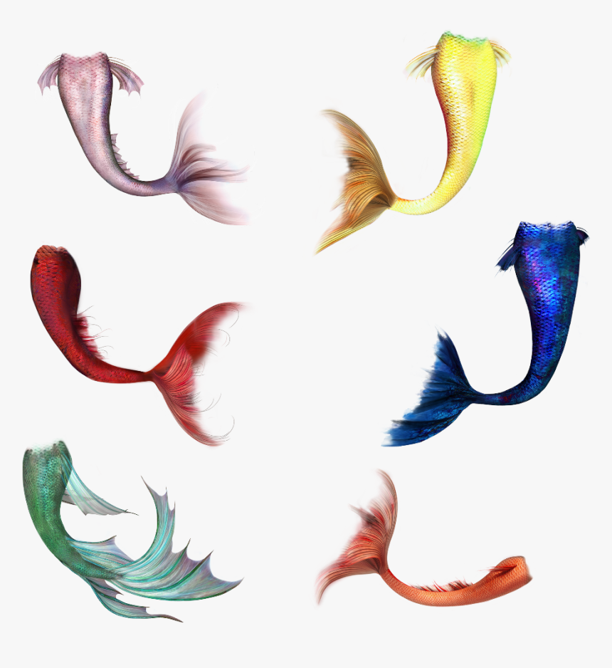 #mermaidtail #fish #mermaid #tail - Transparent Mermaid Tails Png, Png Download, Free Download