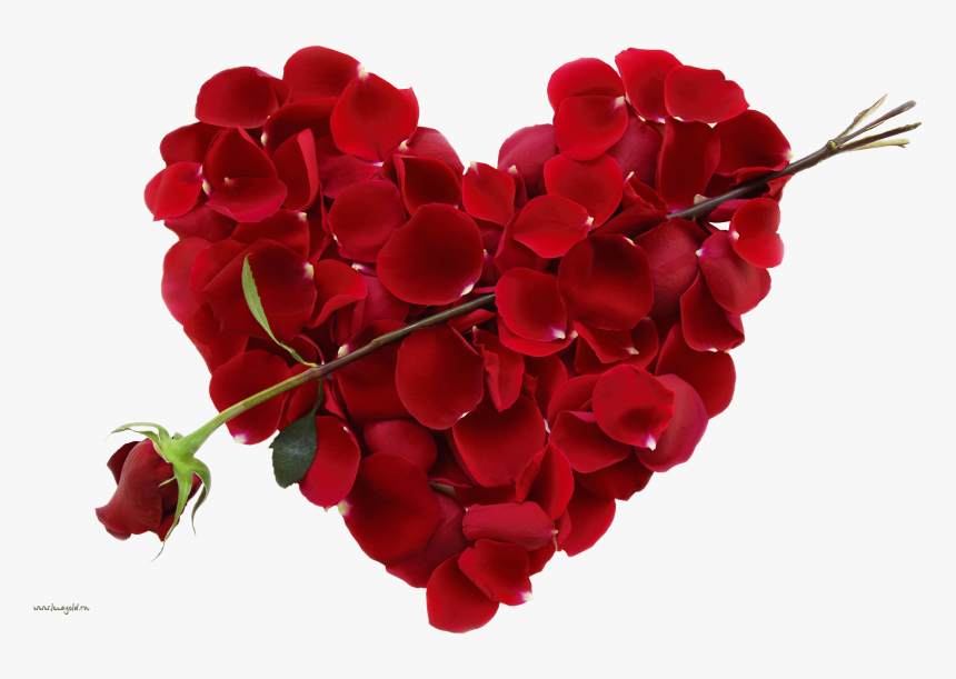 Rose Png Love Valentines Day - Happy Valentine Day 2018, Transparent Png, Free Download