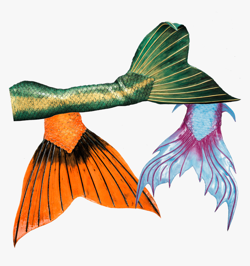 High Quality Silicone Mermaid Tails From Mermaid Kat - Illustration, HD Png Download, Free Download