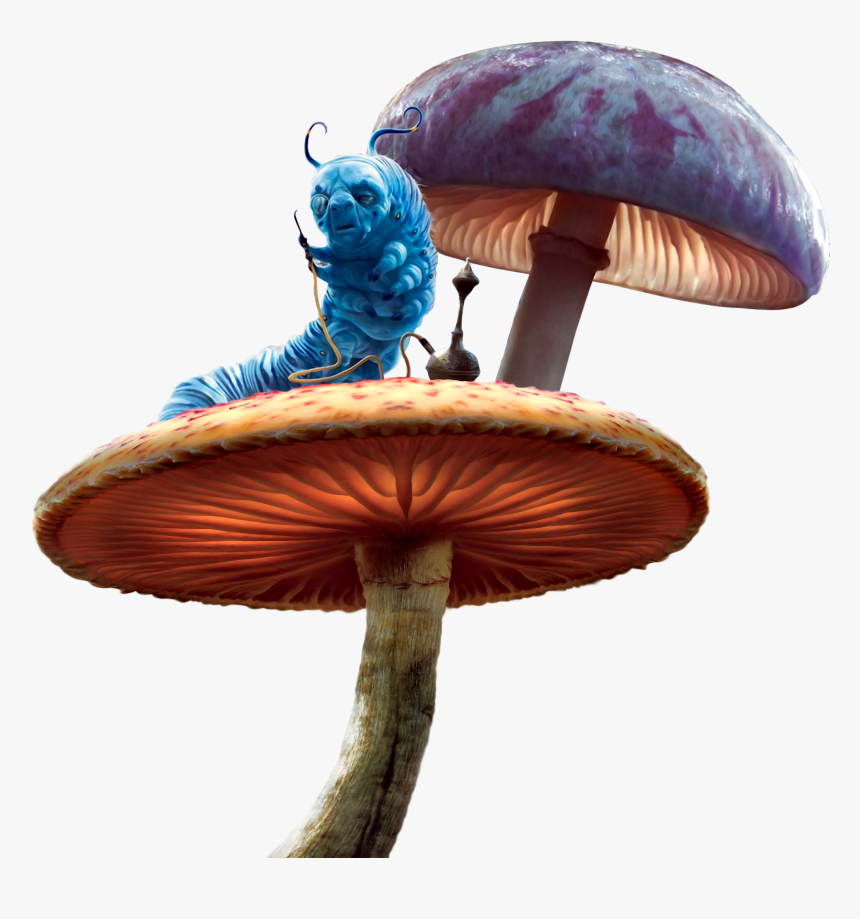 Caterpillar Mushroom Mushrooms Aliceinwonderland Alicei - Alice In Wonderland Caterpillar On Mushroom, HD Png Download, Free Download