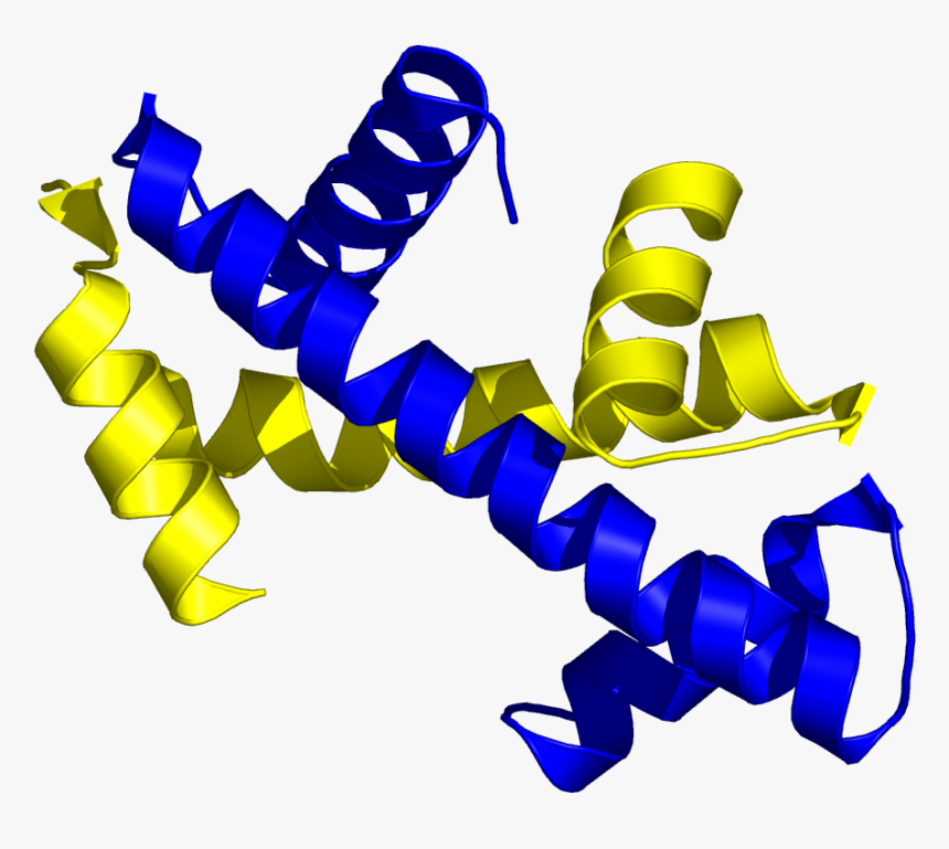 Histone Handshake, HD Png Download, Free Download