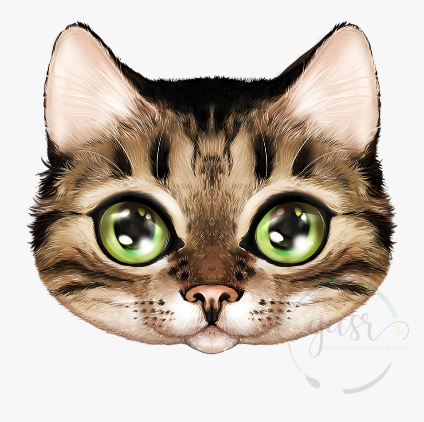 Rage Face 3 X 3 Die Cut Sticker - Domestic Short-haired Cat, HD Png Download, Free Download