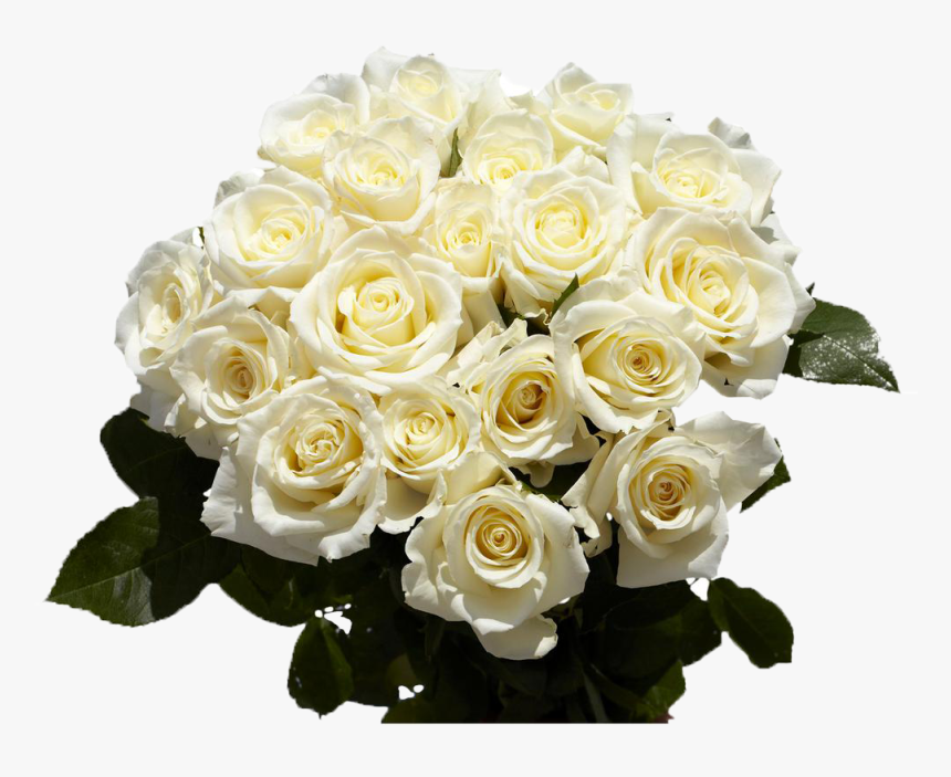 Transparent White Roses Png - Free Pictures White Roses, Png Download, Free Download