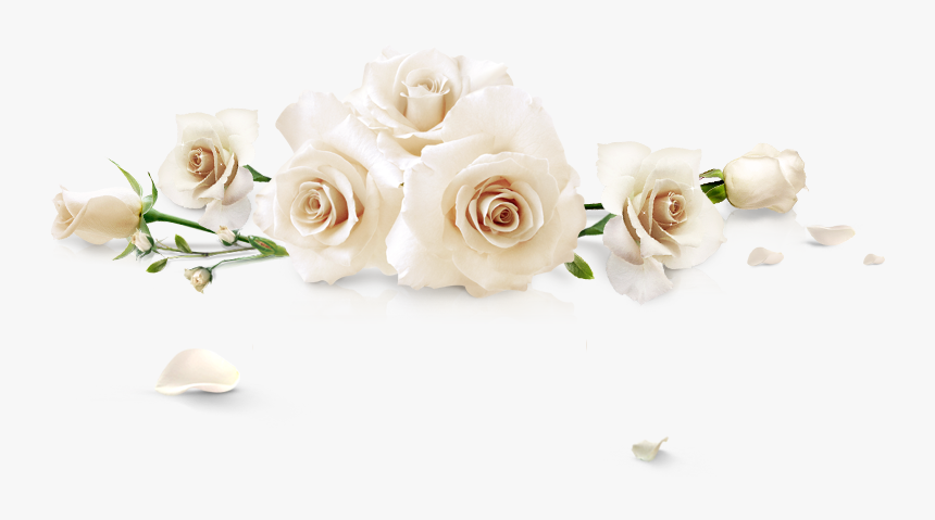 Spilled White Roses - White Roses Png, Transparent Png, Free Download