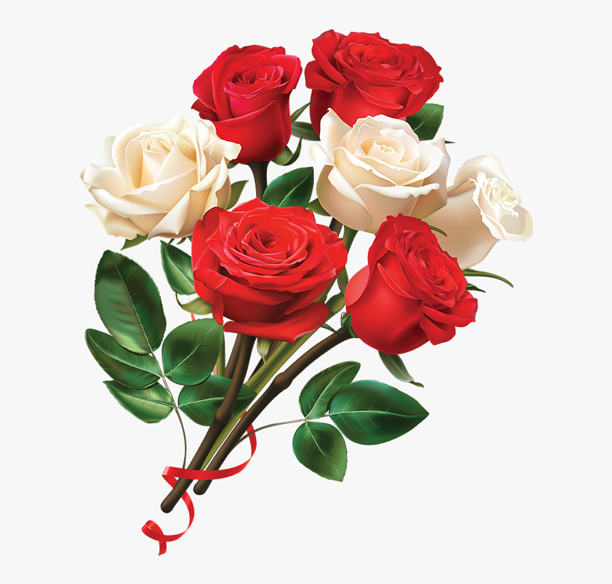 Bouquet Of White Roses Png - Rose Image Hd Png, Transparent Png, Free Download