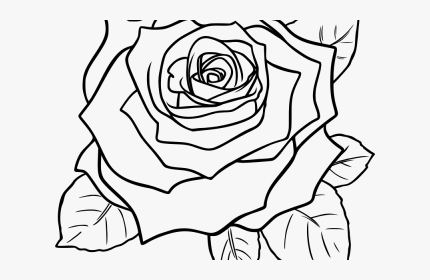 Free White Rose Clipart - Black And White Rose Flower Clipart, HD Png Download, Free Download