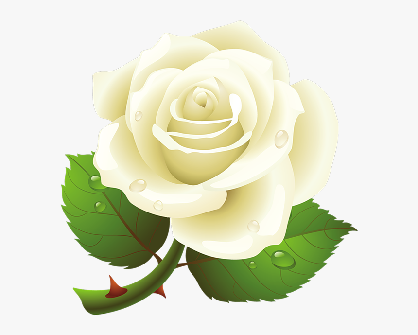 White Roses Png Free Download - White Rose Vector Png, Transparent Png, Free Download