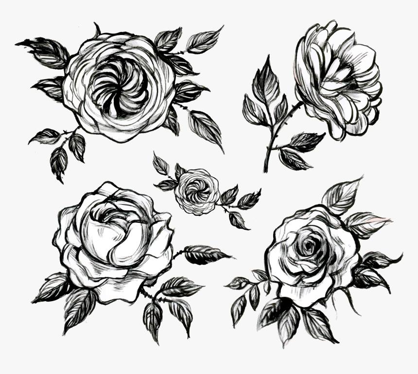 Transparent Rose Drawing Png - Black And White Rose Design, Png Download, Free Download