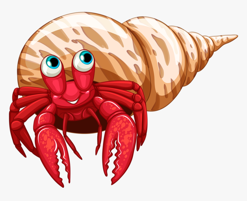 Hermit Crab Clipart Underwater - Transparent Background Hermit Crab Clip Art, HD Png Download, Free Download