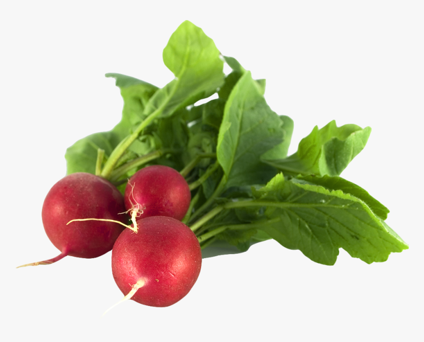 Radish Png Image - Healthy Food In Summer, Transparent Png, Free Download