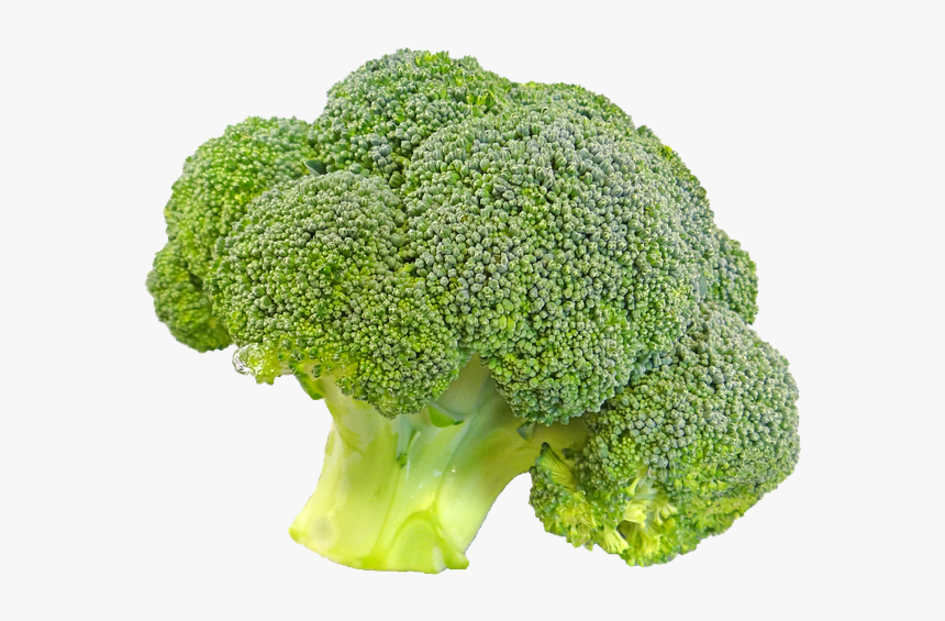 Broccoli, Bunch, Floret, Fresh, Food, Vegetable, Png - Transparent Background Broccoli Transparent, Png Download, Free Download