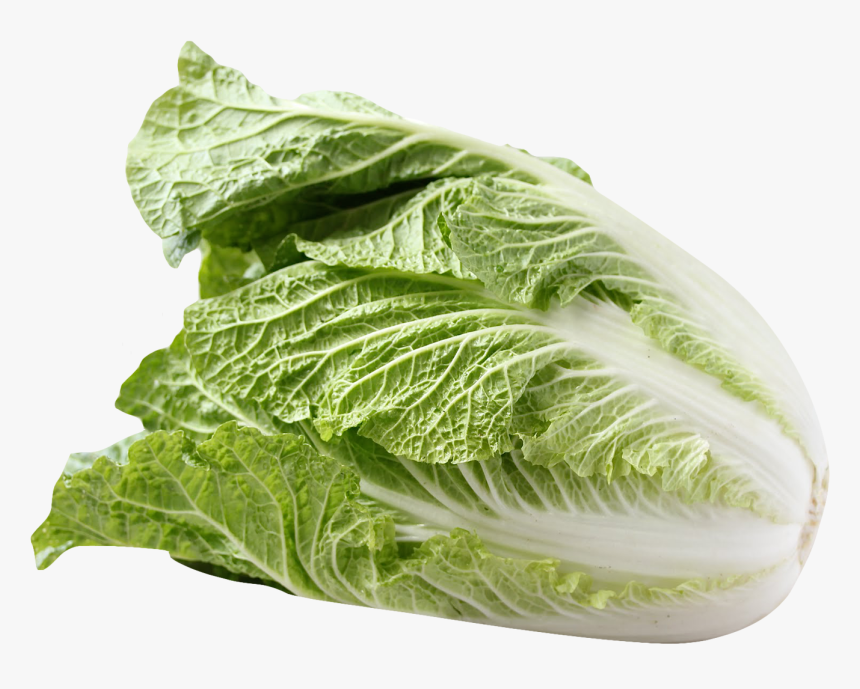 Chinese Cabbage Transparent Png, Png Download, Free Download