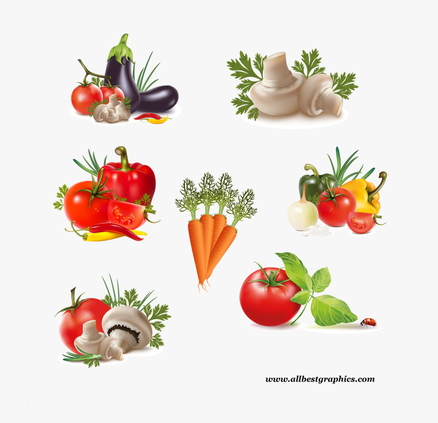 Stunning Healthy And Delicious Vegetables Collection - Transparent Background Vegetables Hd Images Png, Png Download, Free Download