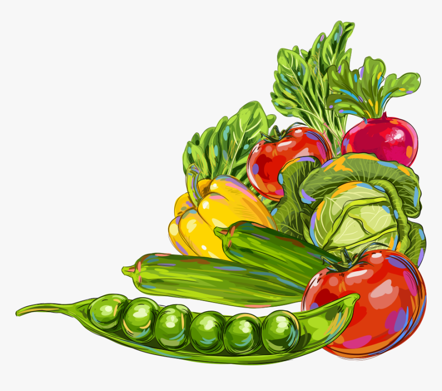 Vegetable Okra Fruit Illustration - Clip Art Fruits And Vegetables Border, HD Png Download, Free Download